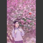 樱花吟