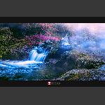 古韵
