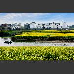 秀美乡村