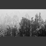 烟雨天子山2