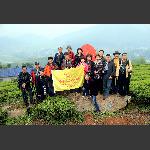 教子垭茶场采风