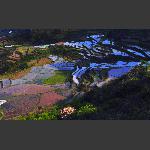 万狐山梯田