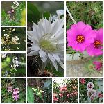 花花世界都献春