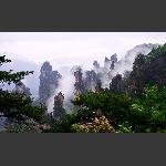 天子山美景一角