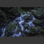 水魅