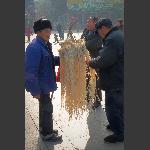 買燈草