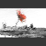 荷之韵--4