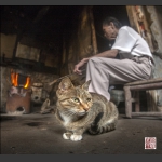 《南门口最后的居者》