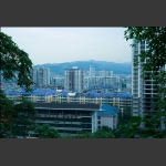 美丽的新家园