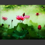 雾里看花