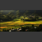 山村秋意浓