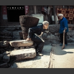 白发母子