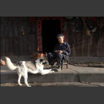 亲密伙伴