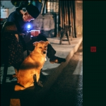 护卫