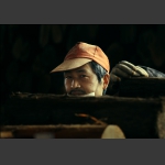 木业人写真