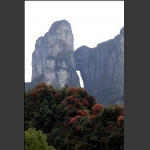 天门山红葉