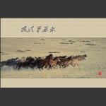 风从草原来