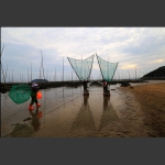霞浦滩涂