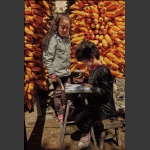 太行山的孩子