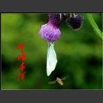 生活本领