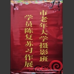 喜看老年大学陈复苏同学习作展《组照1》