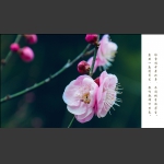 咏梅