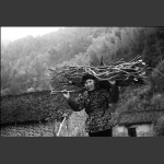 深山老人
