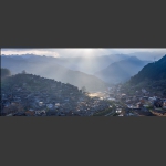 苗岭晨早