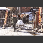 雪后农家院