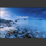 那片海