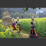 春光丽人行（二）