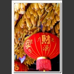 发财