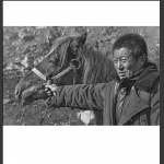 早春三月备耕时
