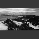 空山新雨后
