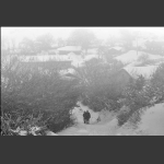三月雪村