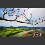 城乡小景