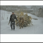 风雪归途