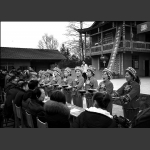 乡村见闻----迎客