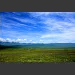 山花烂漫
