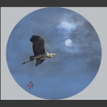 皓月当空