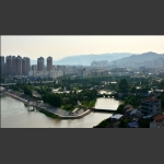 钢筋混泥土中的绿地