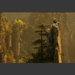 金色天子山