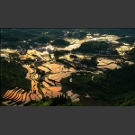 五彩家园