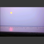 湿地音符