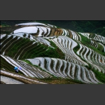 梯田