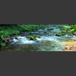 水韵