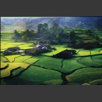 石堰坪景色