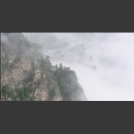 雾锁神龟湾