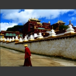 长青春科尔寺