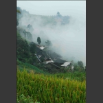 雾锁山村